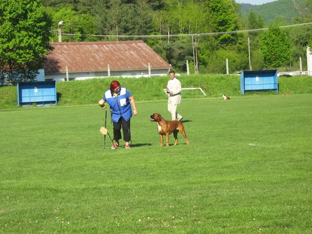 www.atibox.net * www.euroboxer.eu * www.boxergenealogia.eu